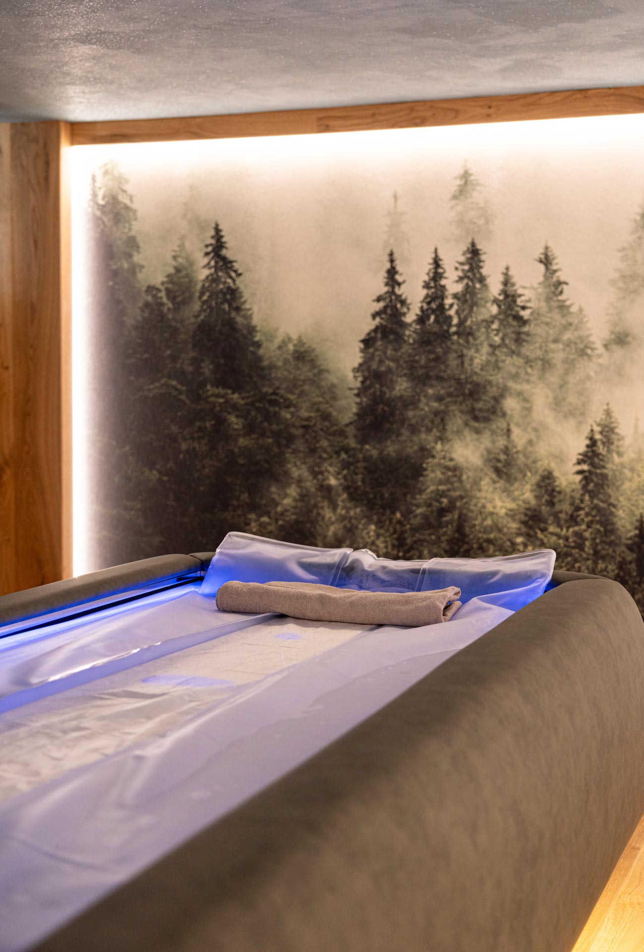 Stanza wellness dell'Hotel Des Alpes a San Martino di Castrozza con sistema Zerobody Dry Float Starpool e parete con bosco.