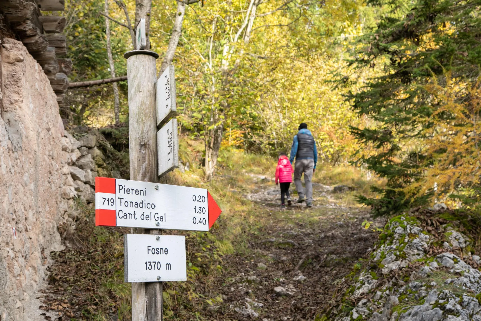 Escursionisti su un sentiero nel bosco autunnale