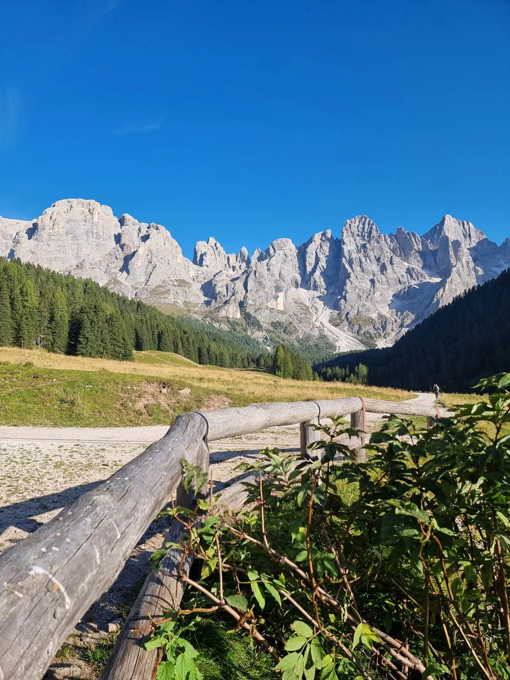 Paesaggio estivo della Valle di Primiero con le Dolomiti