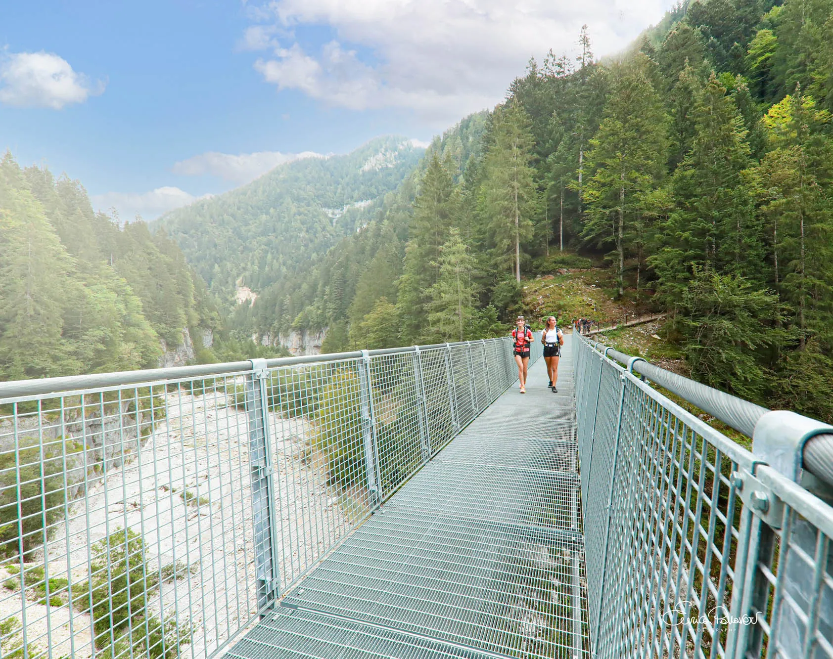 Ponte sospeso immerso nei boschi della Valle di Primiero